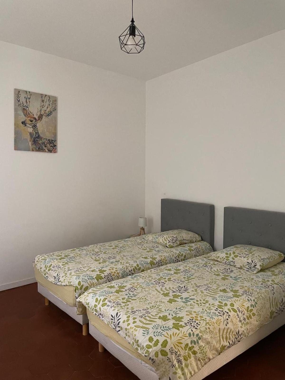 Appartement Gaudi Centre Historique แปร์ปินญอง ภายนอก รูปภาพ